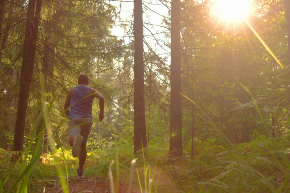 Run Present, Run Free: The Power of Guided Mindful Running